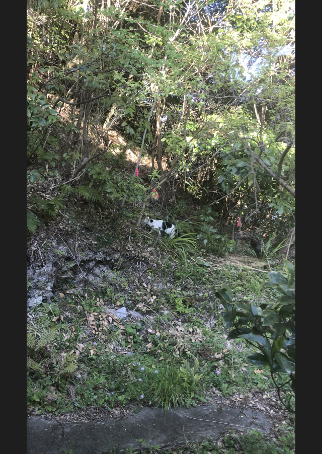 D72F9B2E-8E13-4DC0-AF51-52E71A19D386